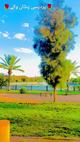 #pardesilife🇵🇰♡🇸🇦 #khojianwali😘 #گجرات #pakistan #gujrat 