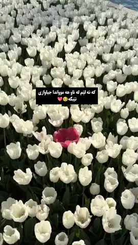 #foryou #ti̇ktok #actives? #fy #❤ 