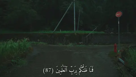فَمَا ظَنُّكُم بِرَبِّ ٱلۡعَٰلَمِينَ (سورة الصافات) #القارئ#ماهرالمعيقلي#قران#quran  #اكتب_شي_توجر_عليه 