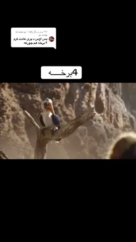 ‏@𓆩°⍣⃝ۥٰ۬͢ۥ آܝ ܟ᳝ߺ❟ ن✘ܝ❍𓆪 کو جواب دیا جا رہا ہے واخلی 