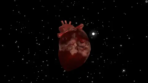 مو كلش عجبني التصدير طول اطثر من مدة الأديت🙂💔#ايديتور #تصميم_فيديوهات🎶🎤🎬 #تصاميم_فيديوهات🎵🎤🎬 #ostaf5 