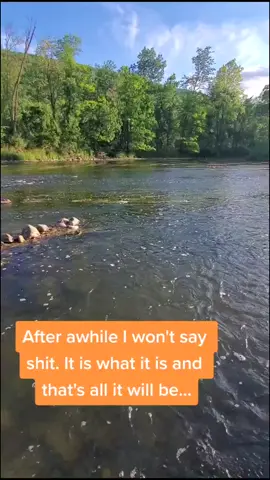 #pennsylvania #creeklife #scars 