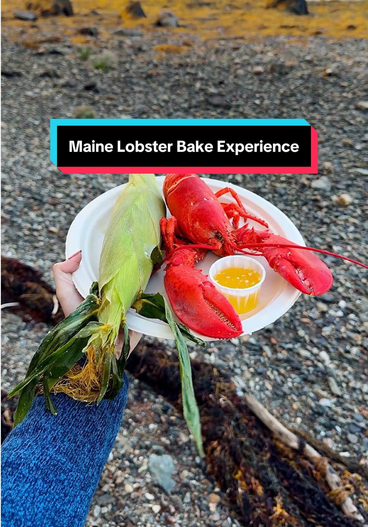 Rich in life because I’ve experienced a Maine lobster bake 🦞☀️🌊 Who would you bring to one of these? 👇 This was part of a sailing trip on the Lewis R. French—the oldest schooner in America still sailing. Fresh lobster, ocean views, and the ultimate New England adventure. . #VisitMaine #MaineLobster #LobsterBake #NewEngland #BucketList 