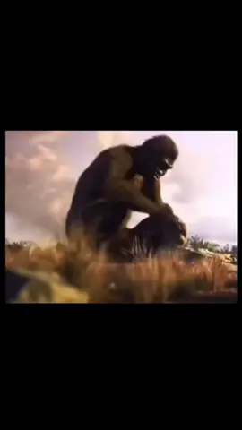#evolution#эволюция #брайрот #тунтунтунсахур 