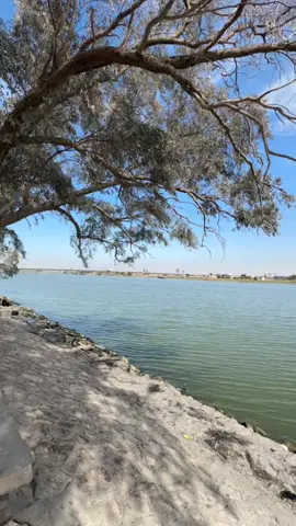 عبارتكم  للفيديو 🤎 #سمير_صبيح❤️  #تصويري📷 #البصرة #كورنيش  ‎