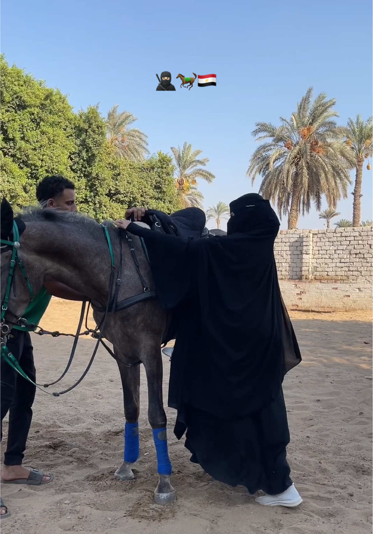 مستنيين ايه عشان تعيشوا المغامرة معانا يلا ابعتيلي اسألي علي تفاصيل طلعتنا ويلا بينا نتعلم ركوب الخيل ونعيش احلي مغامره وسط صحراء سقاره 🌄🐎💫#خيل #خيل_وخياله🐎 #اكسلبورر_explore #viraltiktok #fouryou 