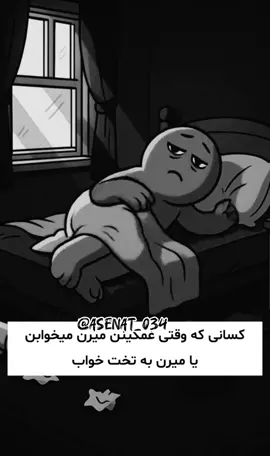@habibadastgeer 