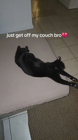 #cat #couch #blackcat #fyp #foryou 