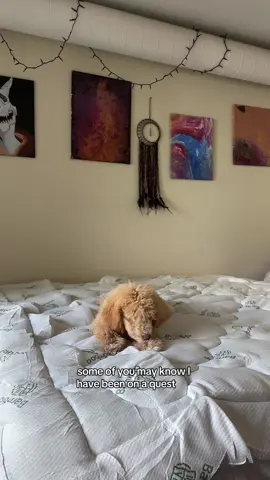 Let the record show that the king sized mattress topper is currently the best thing I’ve gotten from the TikTok shop  #tiktokshop #creatorpilotprogram #tiktokshopaffiliate #smallcreator 