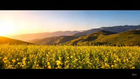 እንኳን አደረሰን ለአዲሱ አመት 🌻🌻🌻🌻 አዲሱ አመት ................................................................................................................................................................ይሁንልን 