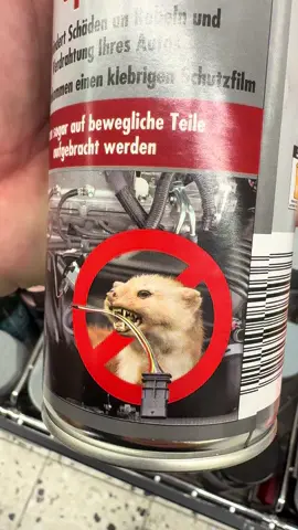 Wusstest du, dass Marder deine Autokabel kaputt beißen können? 😳 Mit diesem Marderschutz-Spray sind deine Kabel sicher! 🚗✨  #Autopflege #LifeHack #AutoTipps #ActionDeutschland