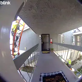 Lol I’m guessing they watch TikTok’s #construction #constructionworkers #dameungrr #fyp 