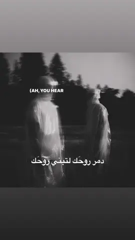 مو صح؟ #منشن #استوري #ex #foryou #اغنية 