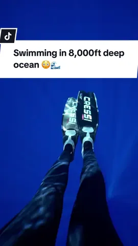 There is nothing quite like the thrill of jumping into the deep blue knowing anything can appear from any direction at any moment! Keep your head on a swivel when you’re out here! Would you swim here? 👀 @KaimanaOceanSafari #deepsea #openocean #thalassaphobia #hawaii #ocean 