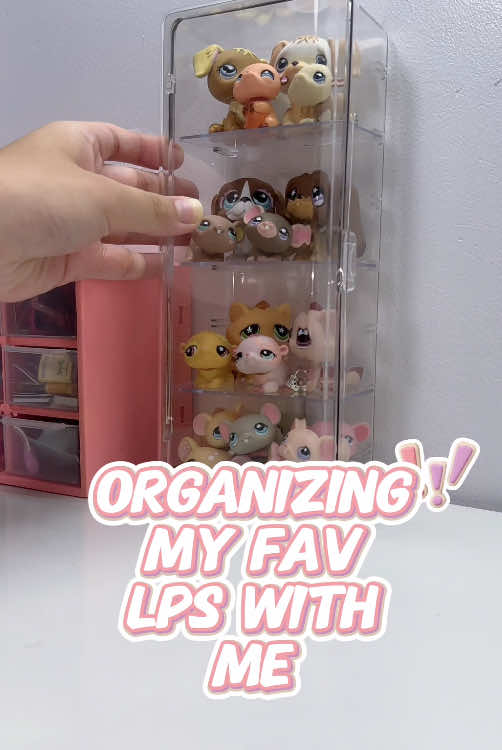 Organize my favorite LPS with me 🤩 These cuties are so lovely to look at😫✋ I love displaying them on my desk where I can look at them 24/7 #lpscollection#lps #littlestpetshop #lpstiktok #lpsasmr 