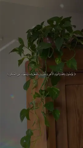 القارى ماهر المعيقلي 🖤✨#quran ##fyp #قران #sb3zaid0 