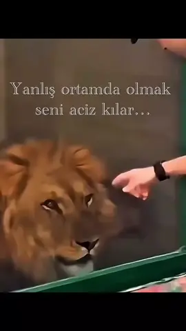 #fyp #tiktok #keşfet 