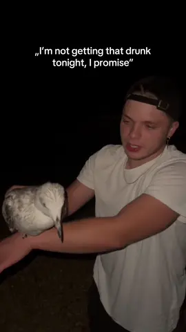 it is what it is…. seagull is allright btw, double checked it #dc#fyp#croatia#Summer#viral 