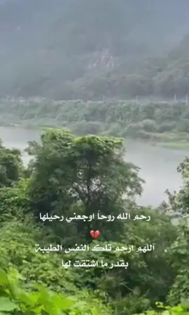 #رحمك_الله_يا_فقيدة_قلبي😭💔 