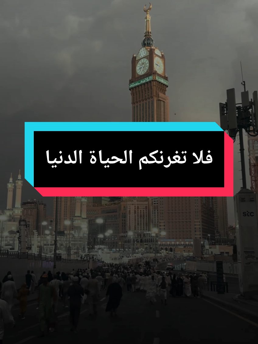 فلا تغرنكم الحياة الدنيا ولا يغرنكم بالله الغرور ،لقد قالها من خلقها وهو اعلم بها  #islam8qurann #islam8quran #islamic_video 