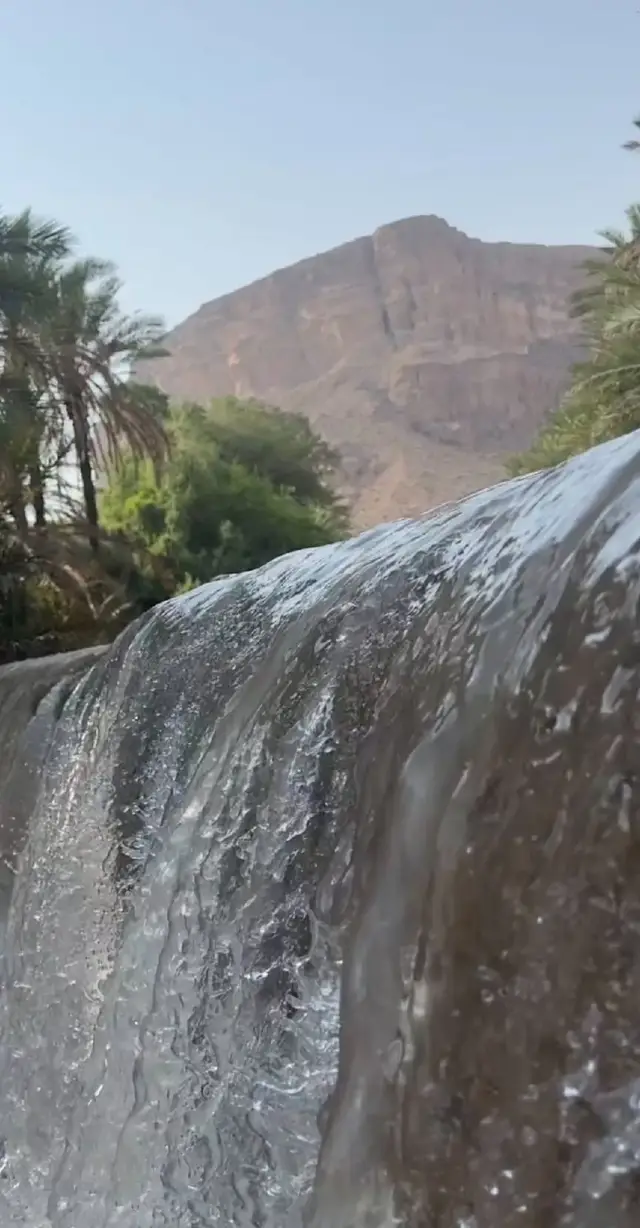 #اغاني_حضرميه #الفنان_المتألق_عبدالله_باسنبل_ابو_فيصل #اغاني_عمديه #اغاني_شرحيه #عبدالله_باسنبل 