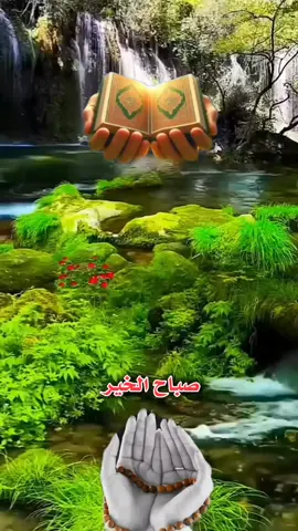 #دعاء_يوم_الخميس #صباح_السعادة_لقلوبڪم_الطّيّبــۃ🌸 #صباح_الخير #اللهم_صل_على_محمد_وآل_محمد #دعمكم_وتشجيعكم_يهمني_ليصلكم_كل_جديد💔 