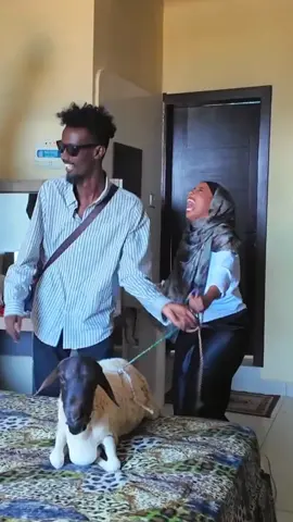 lax dii oo raaxaysanaysa #sundus #sundusayanle #somalia  #team27 #unfreezemyaccount 