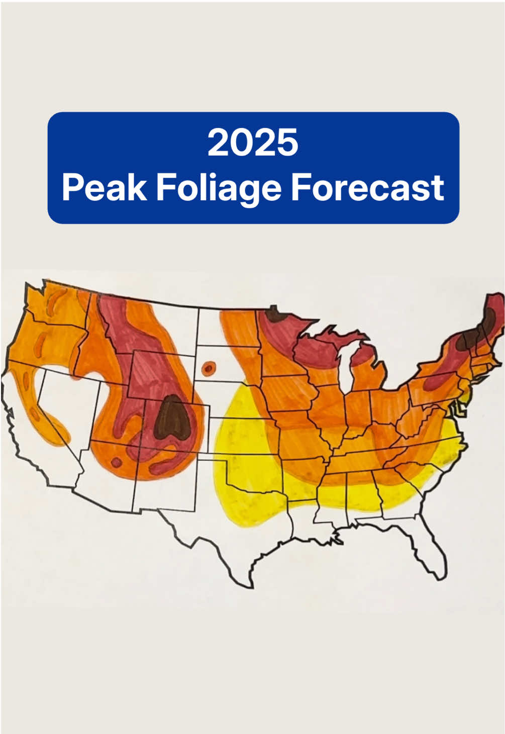 When can you see the peak fall foliage colors? Great question! Meteorologist Caitlin Kaiser would love to tell you. #TheWeatherChannel #fyp #fallfoliage #peak #fallcolors #leafpeeping #fallleaves #weathertok #weatherchannel 