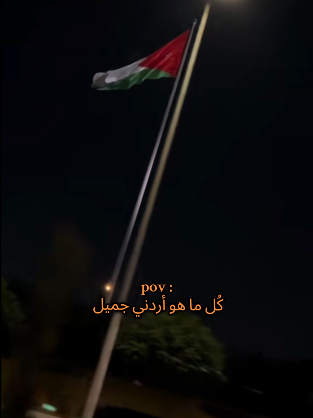 🇯🇴💯🫡 #foryou #fyp #explore  #المملكه_الاردنيه_الهاشميه🇯🇴  #الأردن 