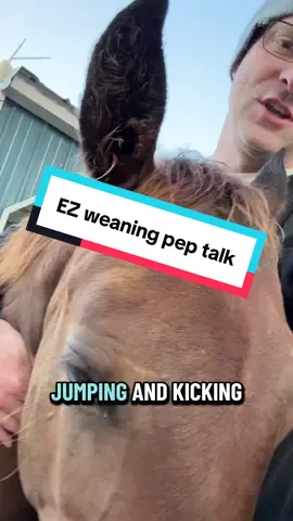 Talking to EZ about weaning day on Friday. Trying to tell her it’s not the end of the world.  #ranch #farmlife #farmanimals #horse #barrelhorse 