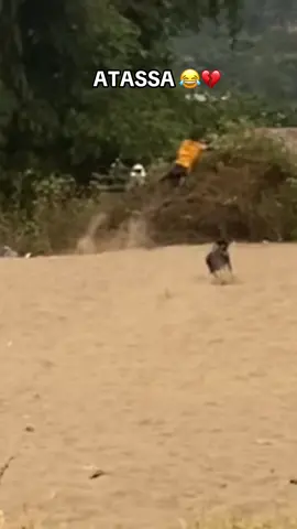 Le chien 🐕 #viralvideos #viral_video #pourtoi #viraltik #percersursetiktok 