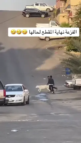 #الشعب_الصيني_ماله_حل😂😂 #اكسبلور  