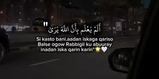 Part 12 || sadex qof walahada gaarsii. #islamic #foryoupage #fyp #copylink #fyppppppppppppppppppppppp 