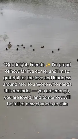 Ending today with gratitude, tomorrow holds new magic “Goodnight world, big dreams ahead, Rest is part of the glow-up #peacefulmind #sweetdreams #restandrecharge #positivevibes #manifesting 
