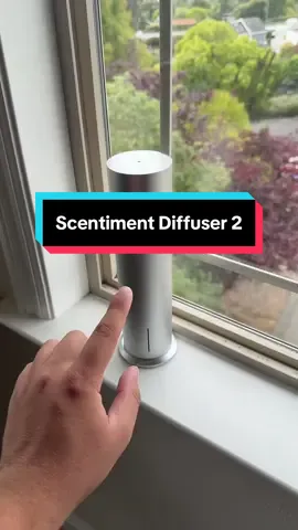 The scentiment diffuser is deff worth the hype guys!!