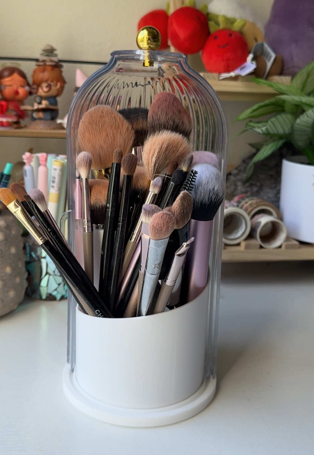 dust-proof makeup brush organizer! #makeupbrushes #makeup #tiktokshoprestock #makeuporganization #tiktokshop 