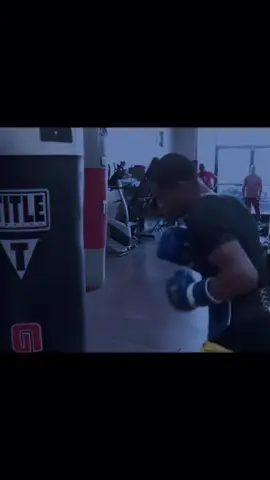 ... #devinhaney #videoviral #boxingedit #fyp #tik_tok 