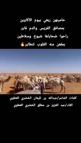 #بني-عطيه#عطبين_الأذكار #الخضري #الخضره🔥 #الآمسح👑 