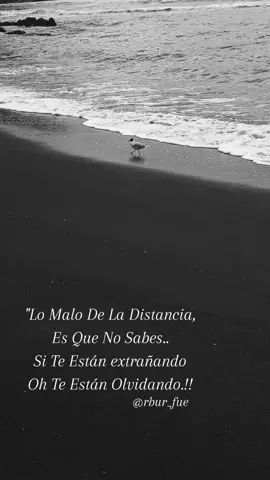 #❣️ 