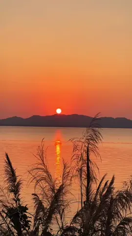 Surah Yusuf | Beautiful Recitation #quran_alkarim #allah❤️ #zeealquran  #عبد الرحمن_مسعد