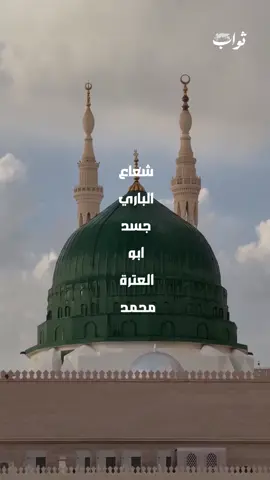 ✨🌙 المولد النبوي الشريف 🌙✨ في مثل هذا اليوم المبارك، أشرقت الدنيا بنور سيد الخلق محمد ﷺ، فكان رحمةً للعالمين، وهدايةً للبشرية، ومصدرًا للمحبة والسكينة.. 💚 اللهم صلّ وسلم وبارك على سيدنا محمد وعلى آله وصحبه أجمعين 💚 #اهل_البيت   #الإسلام #المولد_النبوي #نور_محمد #صلوا_على_النبي