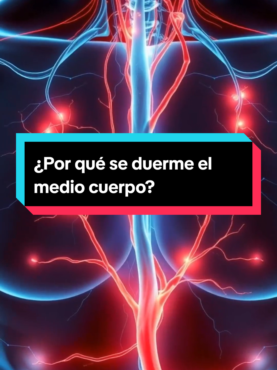 Descubre por que sentimos esa molestia cuando se duerme el medio cuerpo... #cuerpohumano #nervios #ciencia #datosinteresantes #circulacionsanguinea 