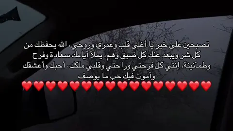 #loveyou #❤️ #محبوبتي #myheart #Love 