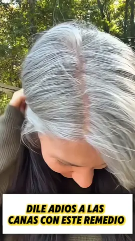 No más tintes caros: así cubres tus canas con ingredientes de casa #greyhair #fyp #remediosdeldia #tintecasero 