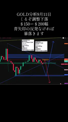 GOLD分析#GOLD #fx初心者 #FX烈 