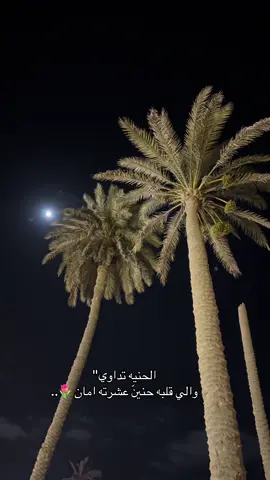 #مجرد________ذووووووق🎶🎵💞  #العريش 