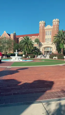 Florida State University #danmarkel #wendiadelson #wendiwatch #donnaadelson #harveyadelson  