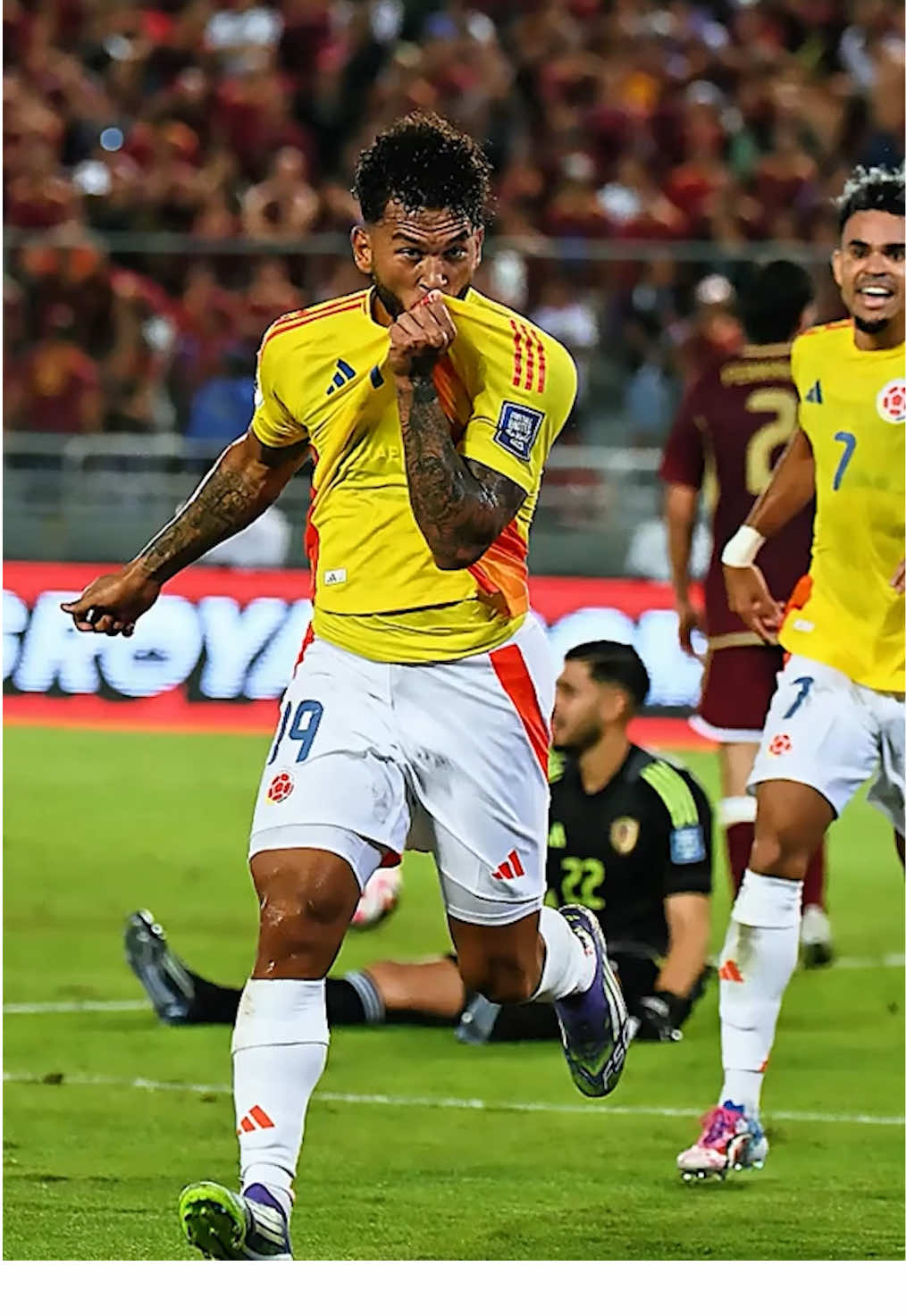 Todo un país unido, toda una Selección lista para el Mundial 2026 💛💙❤️ #Gol #caliyeldandee #artistsoftiktok #musicoftiktok #songofthesummer 
