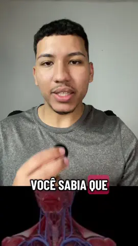 Você Sabia? 