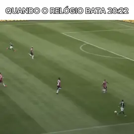 Palmeiras jogou muito esse ano  #palmeiras #2022 #libertadores #foryoupage 